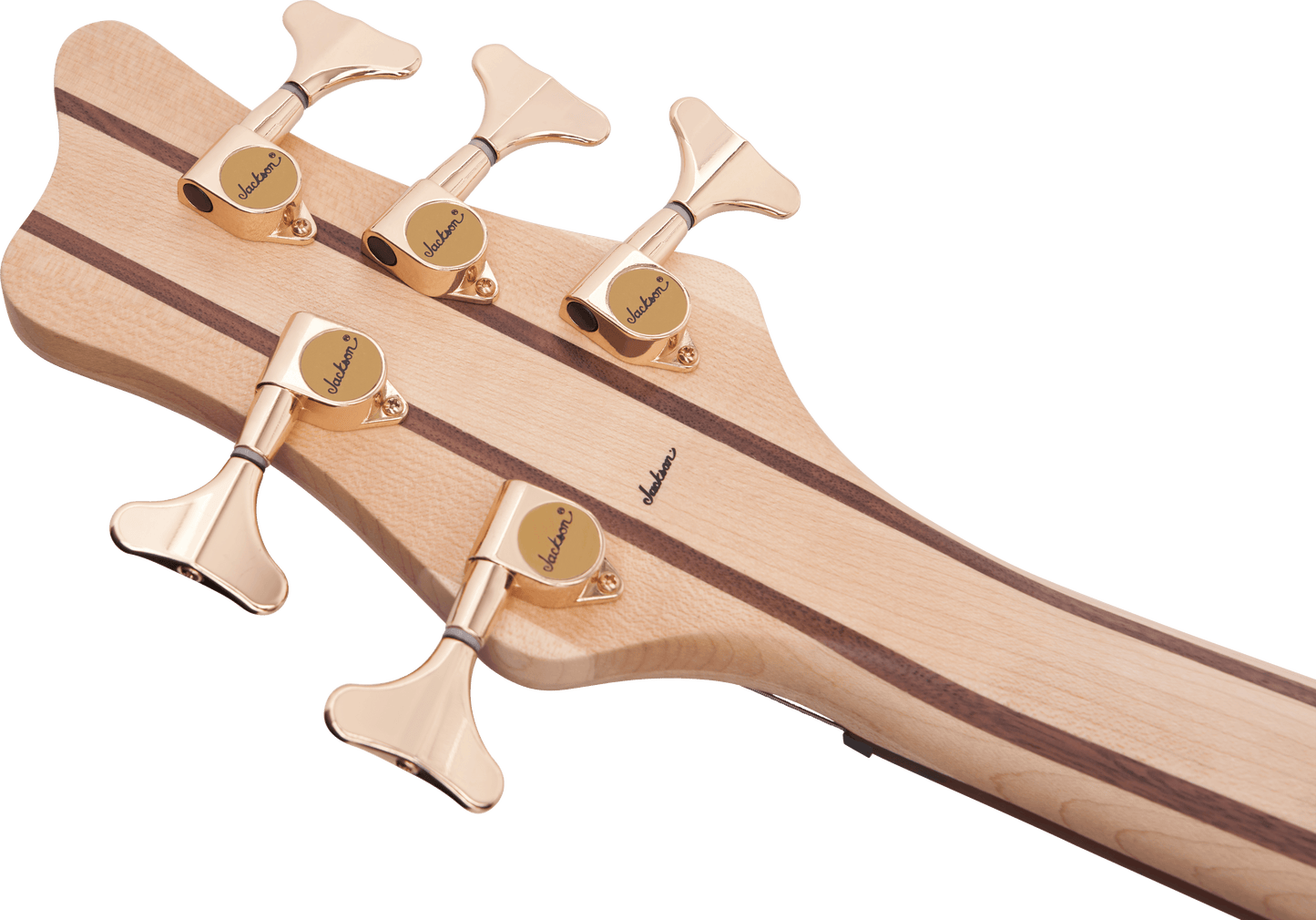 Pro Series Spectra Bass SBP V